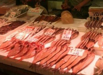 韩国禁止进口福岛水产品 世贸组织判日本胜诉