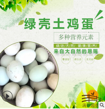 批发绿壳鸡蛋五黑鸡绿壳蛋散养营养农家土鸡蛋月子红鸡蛋30枚装