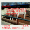 黑龙江省 夏洛莱牛 夏洛莱牛养殖 夏洛莱牛价格 西门塔尔牛