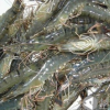 安徽淡水小龙虾