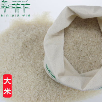 桂东产地直销优质大米农家自产大米10斤装 厂家批发量大从优