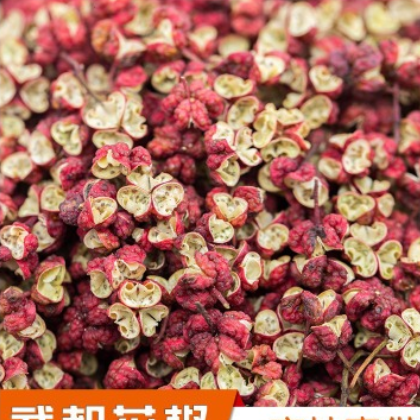 无籽优质 陇南 武都特产 大红袍 花椒