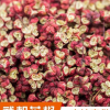 无籽优质 陇南 武都特产 大红袍 花椒