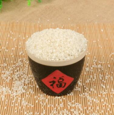 碎大米批发 酿酒食用 饲料碎米 磨粉专用熬粥碎米头现货供应