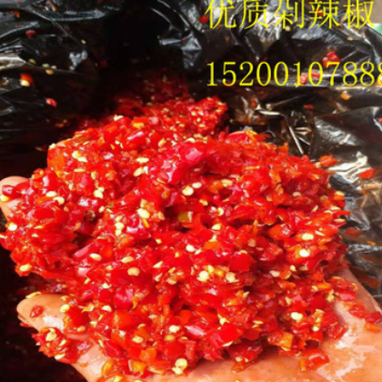 批发供应优质泡菜剁辣椒 剁红椒 鸡泽辣椒 腌辣椒 辣椒酱