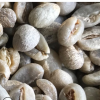 云南小粒咖啡豆A级咖啡豆 12-16目阿拉比卡 咖啡粉原料批发