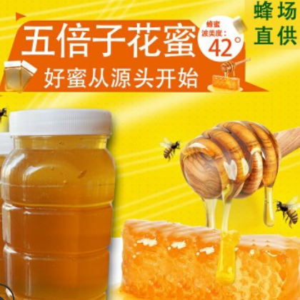 厂家直供散装蜂蜜 农家自产量大从优五倍子蜜 1000g瓶装五倍子蜜