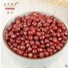 合肥厂家直销天津珍珠红小豆 红豆 五谷杂粮