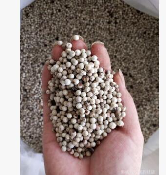 供应批发中药材白胡椒 白胡椒粉 黑胡椒 加工各种粉粉