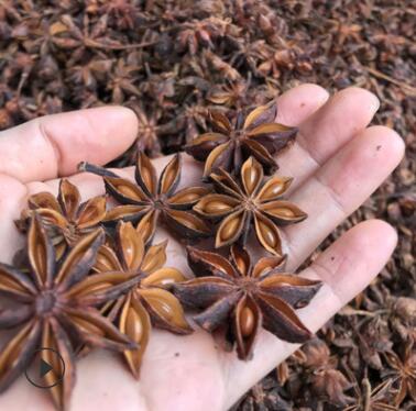 食用八角 批发八角大货 广西产地直发八角