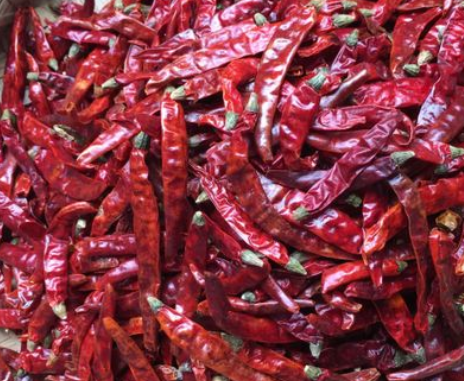 四川干辣椒魔鬼椒印度椒调味料批发辣椒油原料火锅配料500g