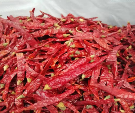 产地货源现货散装印度魔鬼椒 辣印度S17辣椒王包邮火锅底料