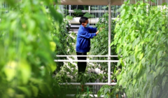 科技创新助力现代农业腾飞