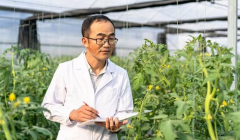 农业技术员资格证怎么考呢？报考条件是什么？