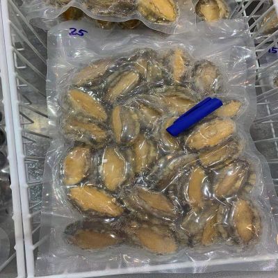 加工鲍鱼肉约25个/斤鲍汁捞饭海鲜干活贝类原料海鲜非即食新鲜冻