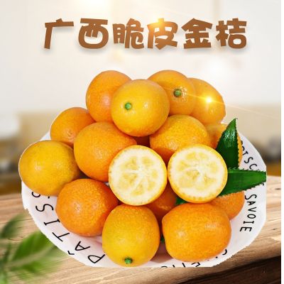 广西脆皮金桔 代发1/5斤新鲜水果脆甜冰糖小金桔应当季小蜜桔子