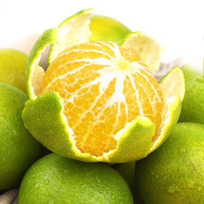 广西皇帝柑 代发2/9斤新鲜桔子帝王贡柑当季热带水果柑橘子蜜桔