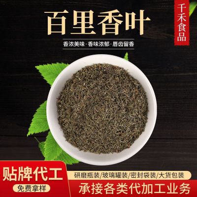 千禾百里香叶 调料牛排用迷迭香料百里香 碎射香草披萨西餐配料