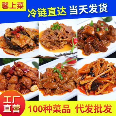 外卖餐厅速食简餐商用快餐冷冻袋装半成品食品预制中式菜肴料理包